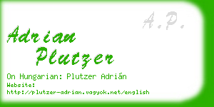 adrian plutzer business card